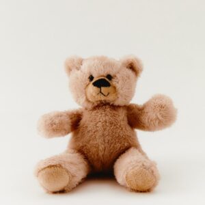 Beige Teddy Bear